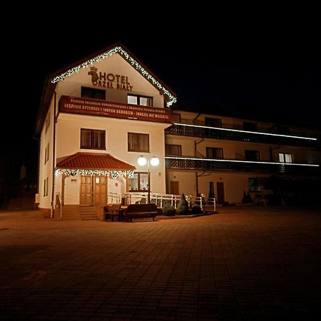 Pensjonat Belvedere Щирк Екстериор снимка